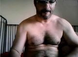 Hairy Bear snapshot 1