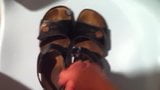 My small cock jizzed on girlfriend sandals snapshot 7