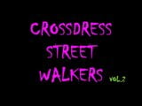 CD STREET WALKERS PT2 snapshot 1