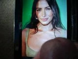 Omaggio a Sarah Shahi snapshot 1