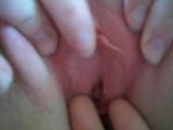 spreading wife's pussy snapshot 1