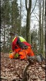 ArbeitsKumPel Bei Der Arbeit Im Wald snapshot 1