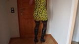 Nylons, DWT, Strapse, Tranny, Schemale snapshot 6