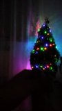 My christmas tree snapshot 3