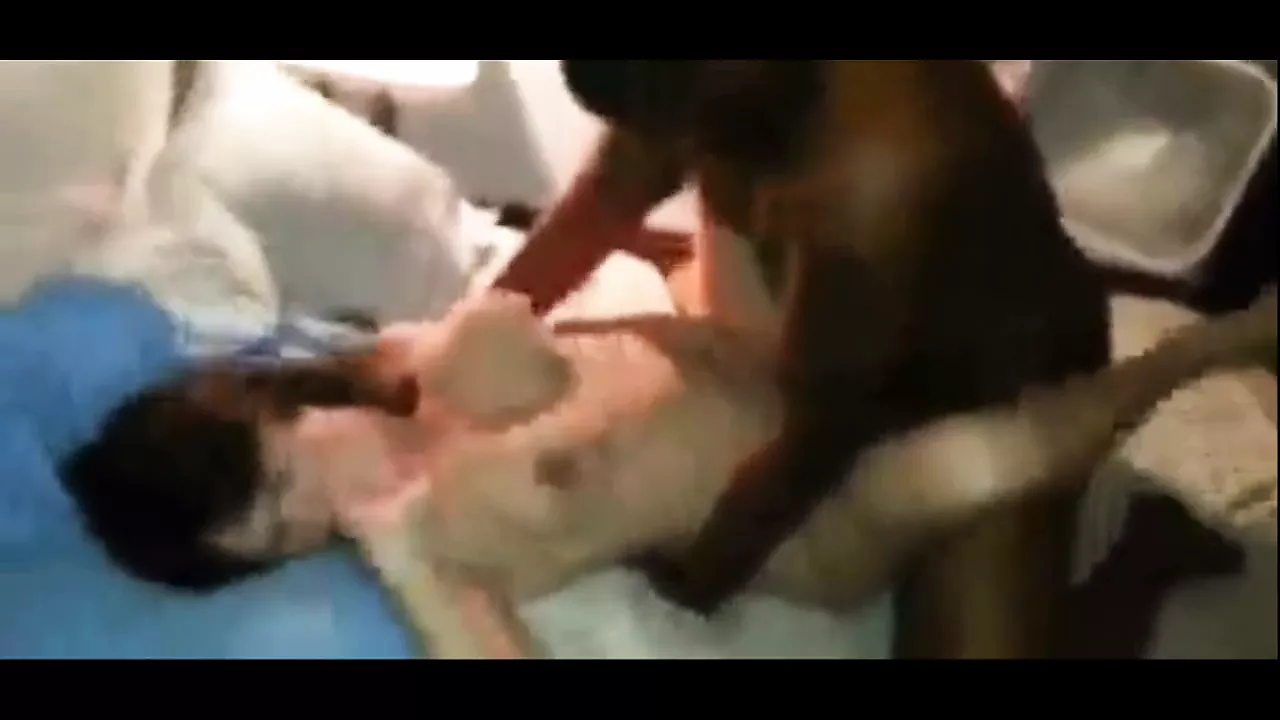 White Wife Experiences Overwhelming Orgasm with Black ...