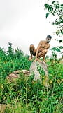 Nude mountain tracking sexy indian men cumshot snapshot 12