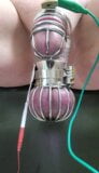 Locktober cum from cbt estim in chastity and ball cage snapshot 12