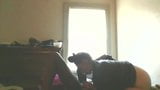 Daddy $noop fucking his babe Juicyy Jae snapshot 19