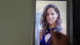 Ana Ivanovic Cum Tribute snapshot 3