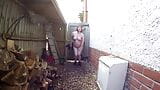 Esposa con grandes tetas desnuda en el patio snapshot 5