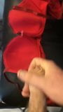 Cum on GF's bra snapshot 5