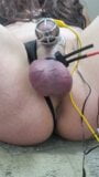 Chastity estim cum for cute sissy snapshot 2