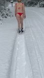 Cur bombat în bikini mergând pe zăpadă snapshot 6