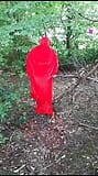 在树林里穿着红色斗篷的女士 snapshot 1