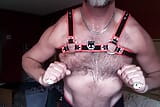 Schwuler papi-fiend Pig spielt mit seinen gepumpten nippeln snapshot 3