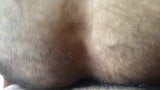 HAIRY ASS BREEDING snapshot 2