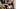 XDominant 044 - Lana Roy в анальном кастинге с огромным хуем