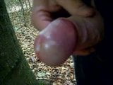 Uncut Cock Outdoor Wanking and Cumming snapshot 2