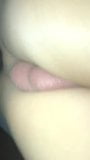 closeup anal ayam hitam snapshot 15