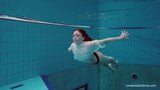 Alice Bulbul, gata nadando debaixo d'água snapshot 6