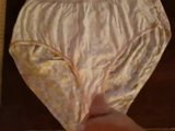 Cum on Mother in Law's Dirty Panties snapshot 5