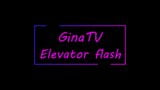 Elivator Tranny  Flash snapshot 1