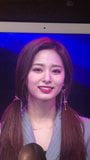 190503 Twice Tzuyu Cum Tribute snapshot 4