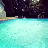 Alexandra Daddario em uma piscina - agosto de 2018 snapshot 8