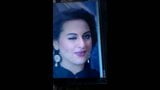 Sborra omaggio all'attrice di Bollywood Sonakshi Sinha snapshot 2