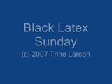 2007 - All latex snapshot 1