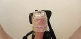 Utilisation de Fleshlight sur une bite snapshot 19