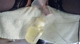 Milking snapshot 4