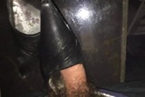Humping Andrea Leather Pumps snapshot 2