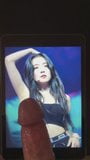 Red velvet irene cum homenaje snapshot 2