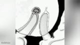 मैं आपकी गांड में सहती हूँ इसलिए मैं गर्भवती नहीं होती - कॉमिक बोरू सुमी snapshot 3