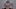 Maya Kendrick и Charlotte Sartre - неудачник получает анальный трах со страпоном