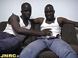 JNRC.fr - Belos paus africanos snapshot 3