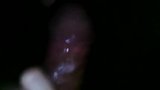Indonesische babe geeft pijpbeurt en speelt met sperma snapshot 1