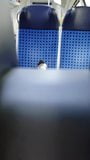 Bei calzini sul treno 4 snapshot 1