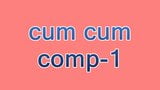 cum cum-comp-1 snapshot 1