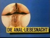 Die anal liebesnacht (professionell film) snapshot 1