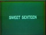 Sweet sexteen 1975 snapshot 1