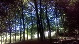 Im Wald gewichst und gespritzt snapshot 1