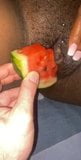 Amatoriale anguria nella sua figa rosa snapshot 1