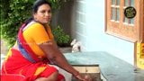 Mallu servant aunty snapshot 5