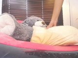 Elle squirte sur elle-même pendant le camshow et l'avale! snapshot 6