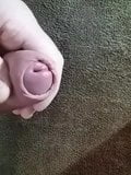 Walenie konia duzy penis kutas sperma snapshot 4