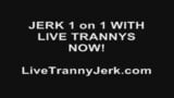 prety sharick Tranny Live Sex 3 snapshot 1