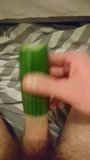 Cucumber wank fuck masturbate sloppy snapshot 1