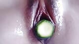 cucumber snapshot 6